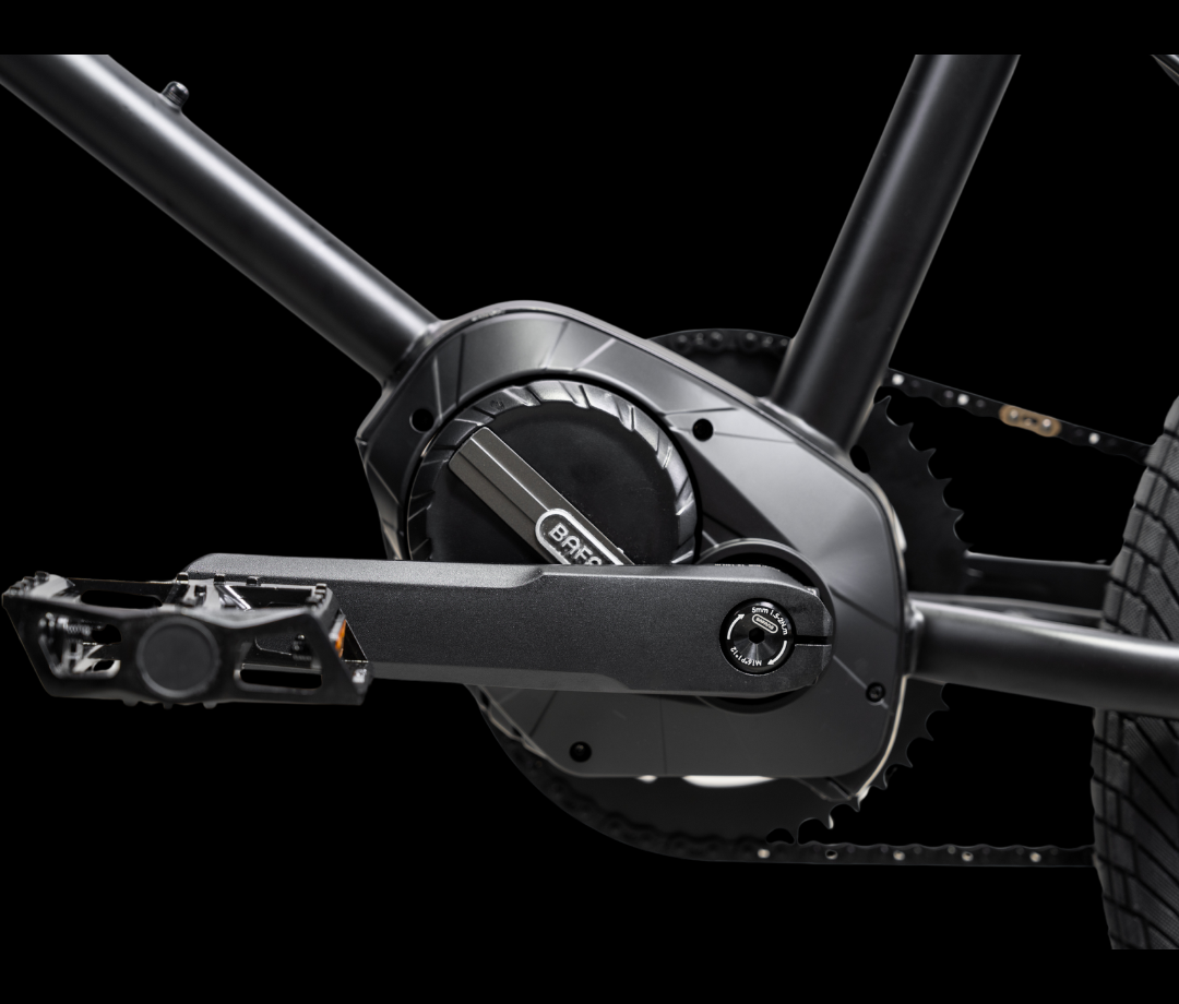 BMX elettrica Evolve vista principale
